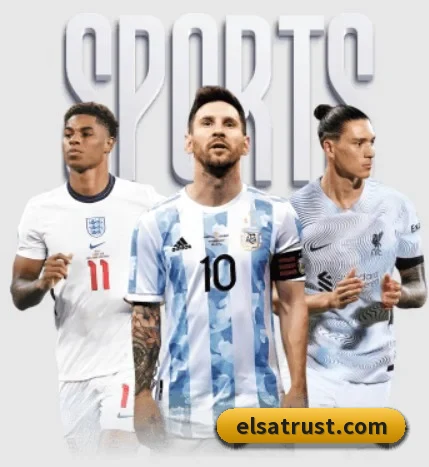 五大服务分区,信息按项目分类